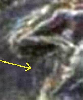 nikopolis_14_sept_severus_HrHJ(2018)8.14.07.17_detail.jpg