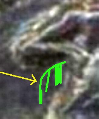 nikopolis_14_sept_severus_HrHJ(2018)8.14.07.17_detail2.jpg