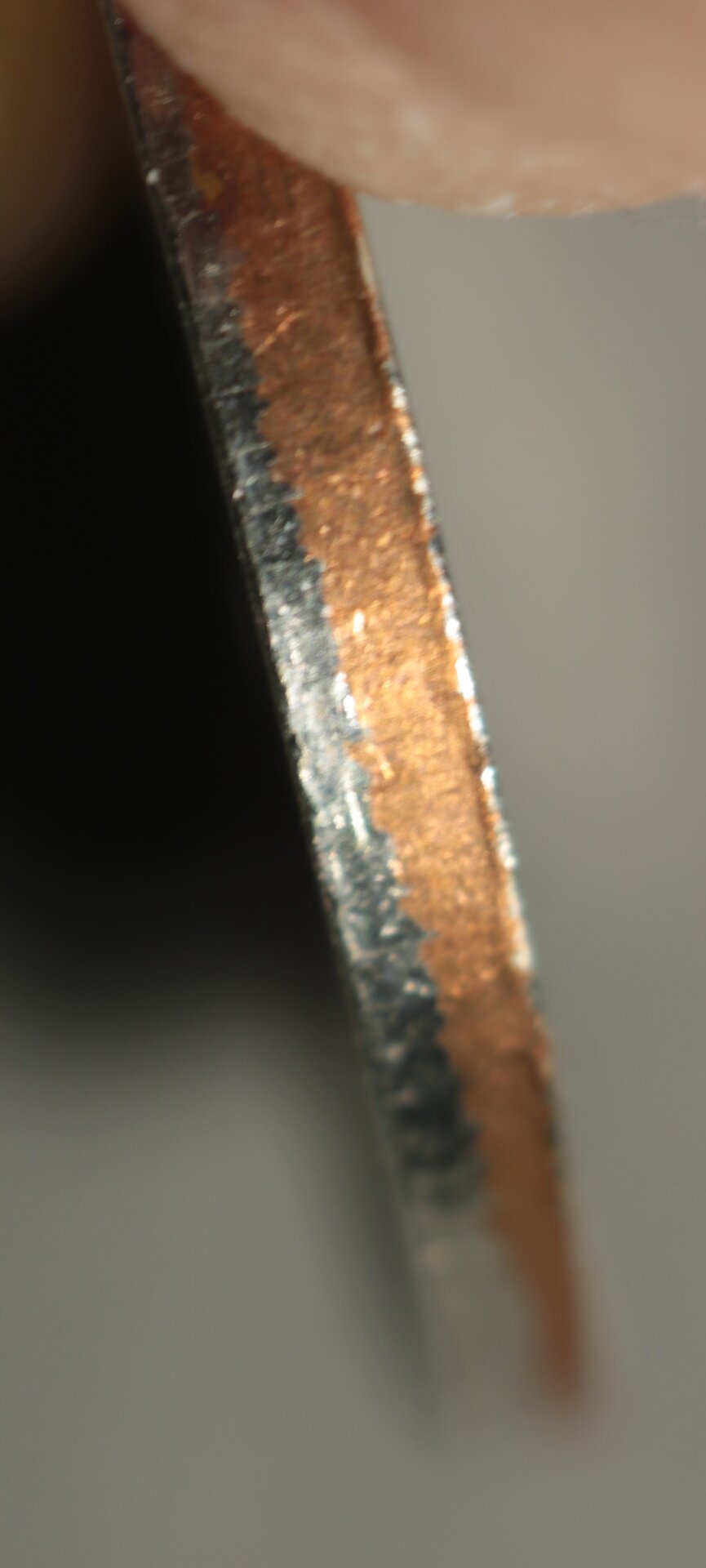 No Reed Dime Edge.jpg