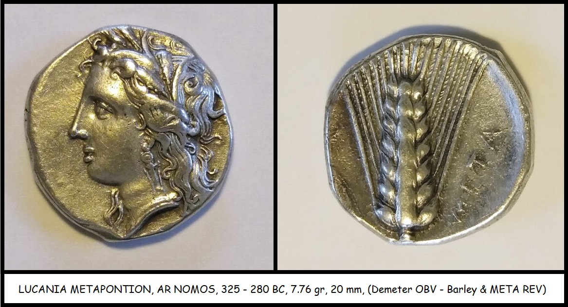 nomoscombo2.jpg