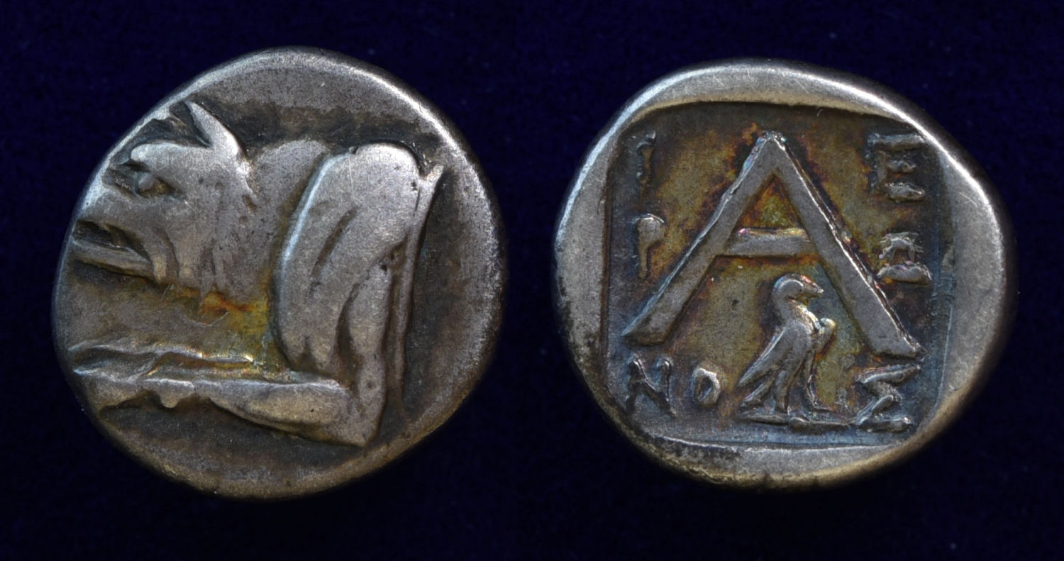 NonRoman Wolf.jpg