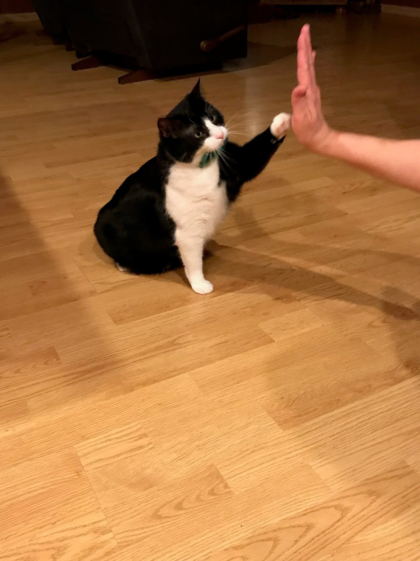 Nora high five.jpg