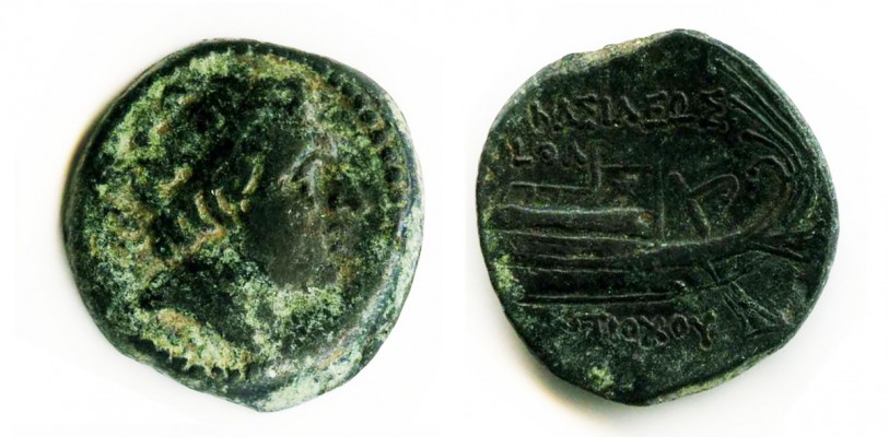 normal_Antiochos_III_Sidon.jpg