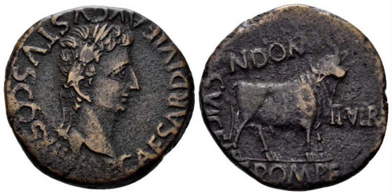 normal_AUGUSTUS (1).jpg