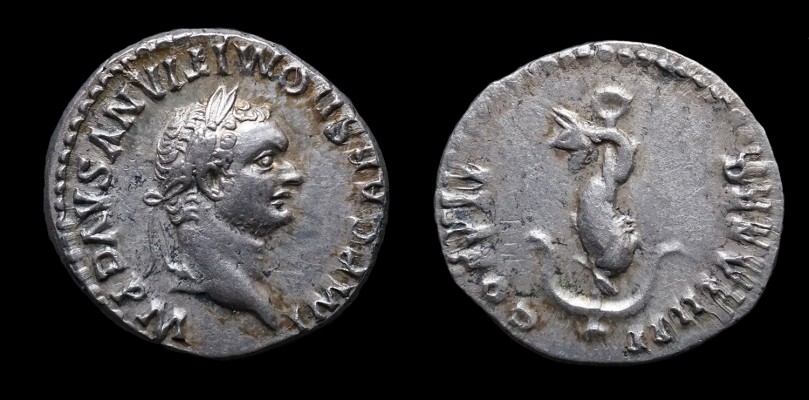normal_Domitian_dolphin.jpg