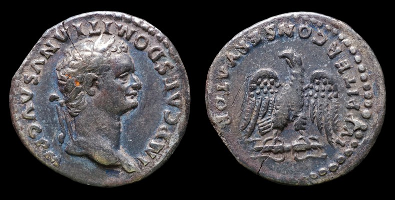 normal_Domitian_Eagle.jpg