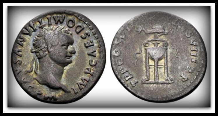 normal_DOMITIAN_WHITE (1).jpg
