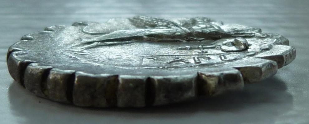 normal_Papia_1c_edge.JPG