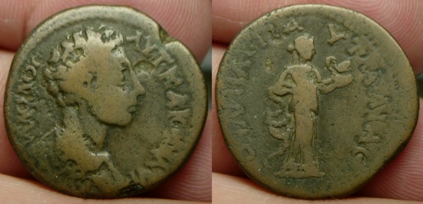 normal_PautaliaMarcus.jpg
