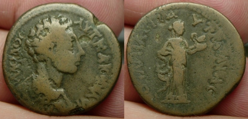 normal_PautaliaMarcus.jpg
