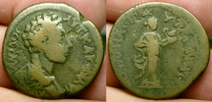 normal_PautaliaMarcus.JPG