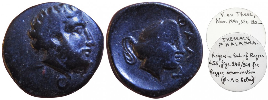 normal_Phalanna_Zeus_Nymph_Tags.jpg