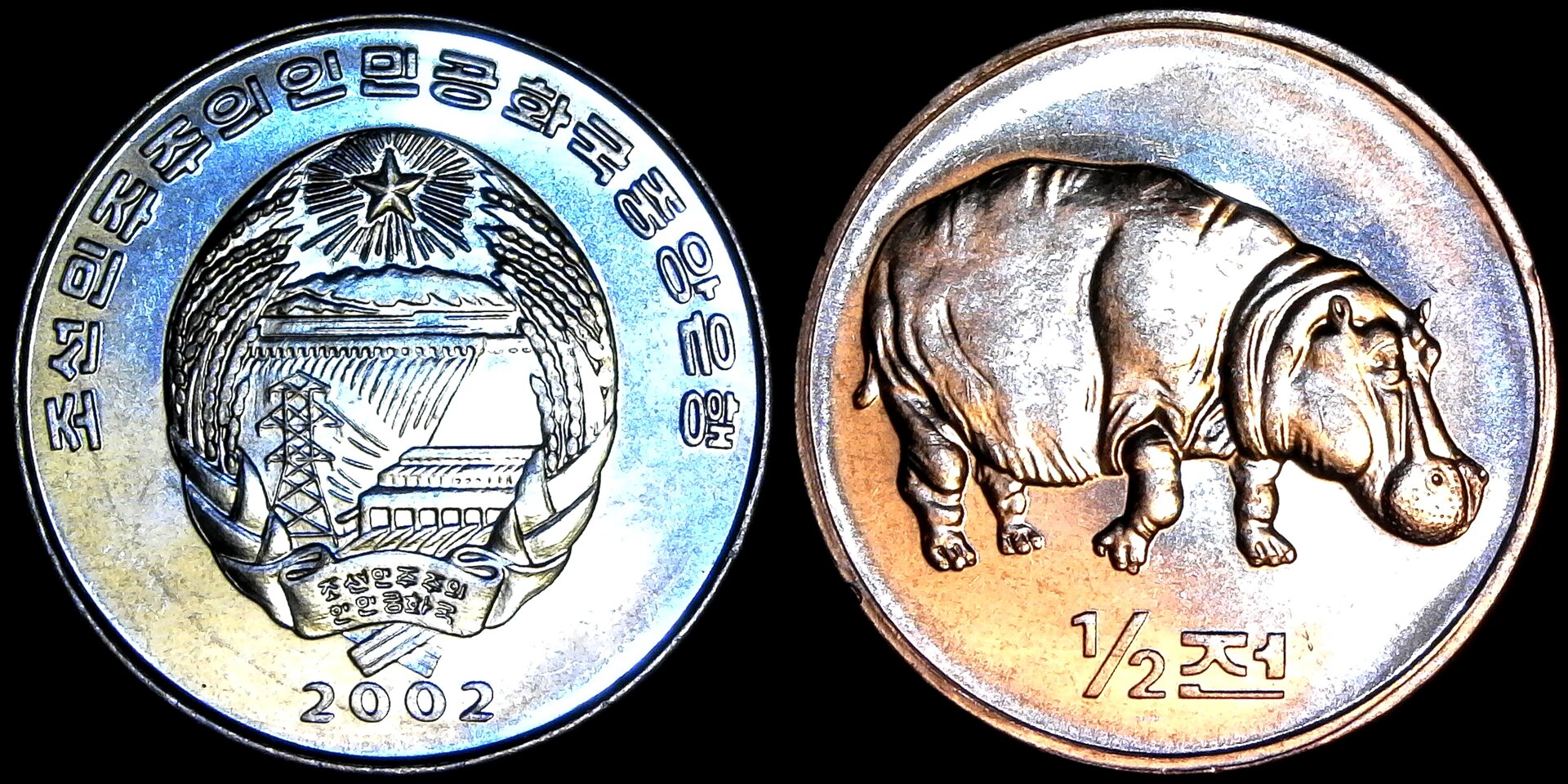 North Korea Half Chon 2002 KM190 rev-side.jpg