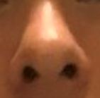 nose.JPG