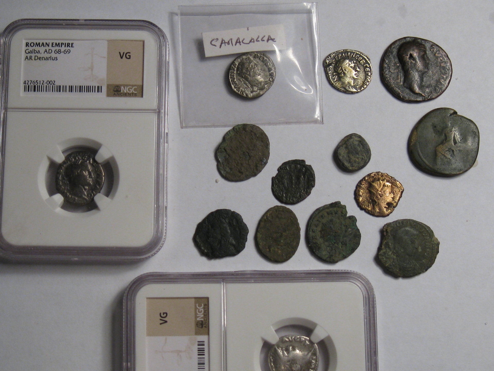 not rounds    snake coin 002.JPG