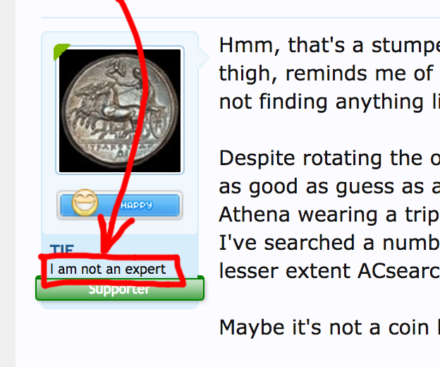 NotAnExpert.jpg