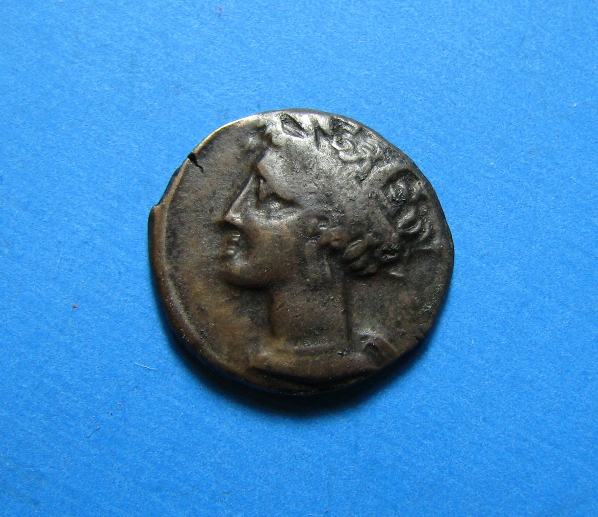 NOV MAX 016.JPG