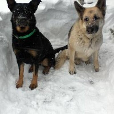 nova and rosie.jpg