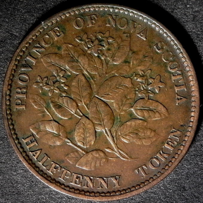 Nova Scotia 1852 Halfpenny obv 60pct.jpg