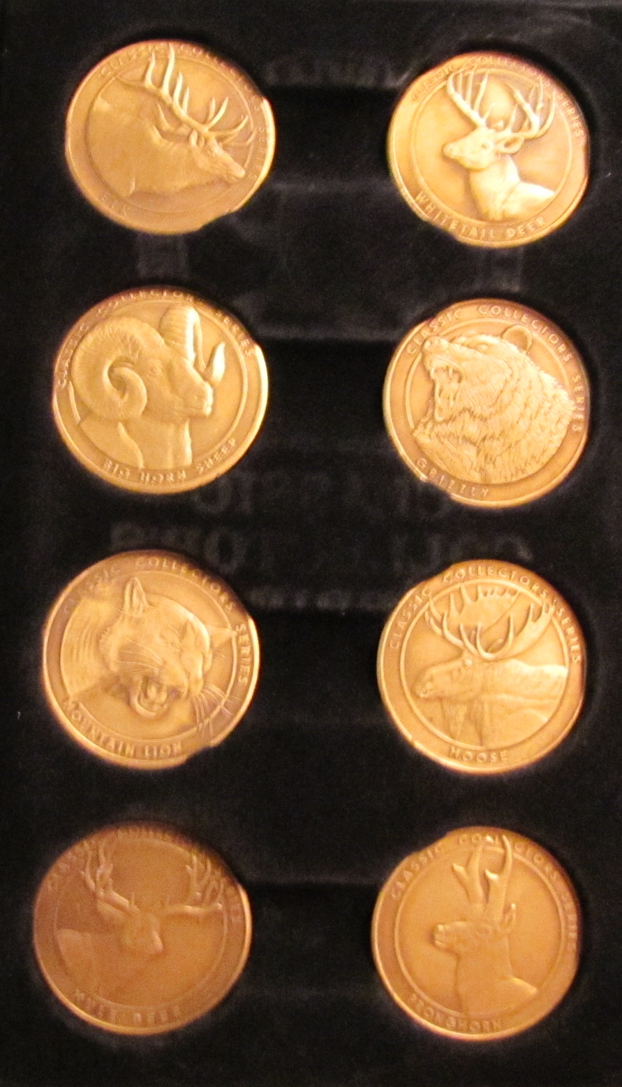 NRA  medals.JPG