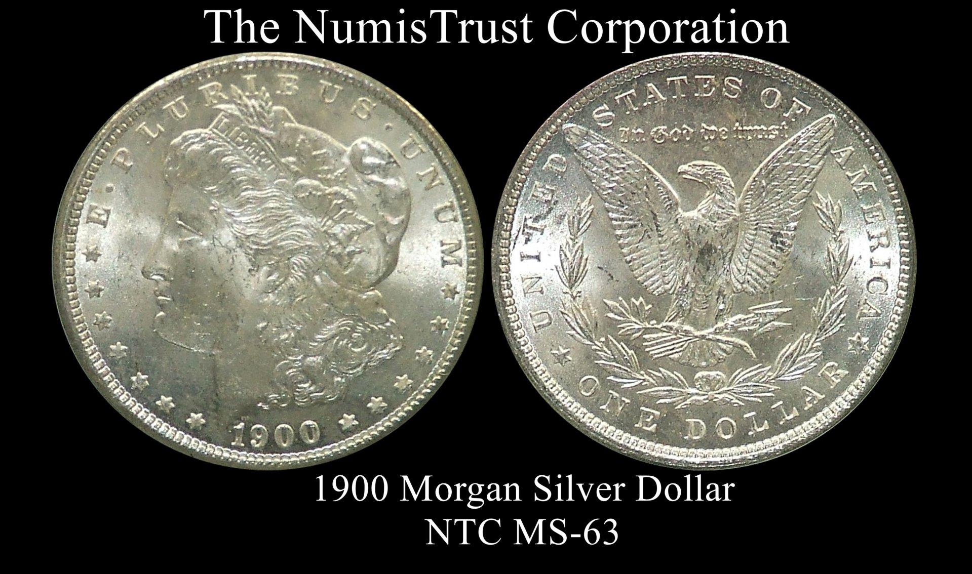 NTc coin 1 revealed.jpg