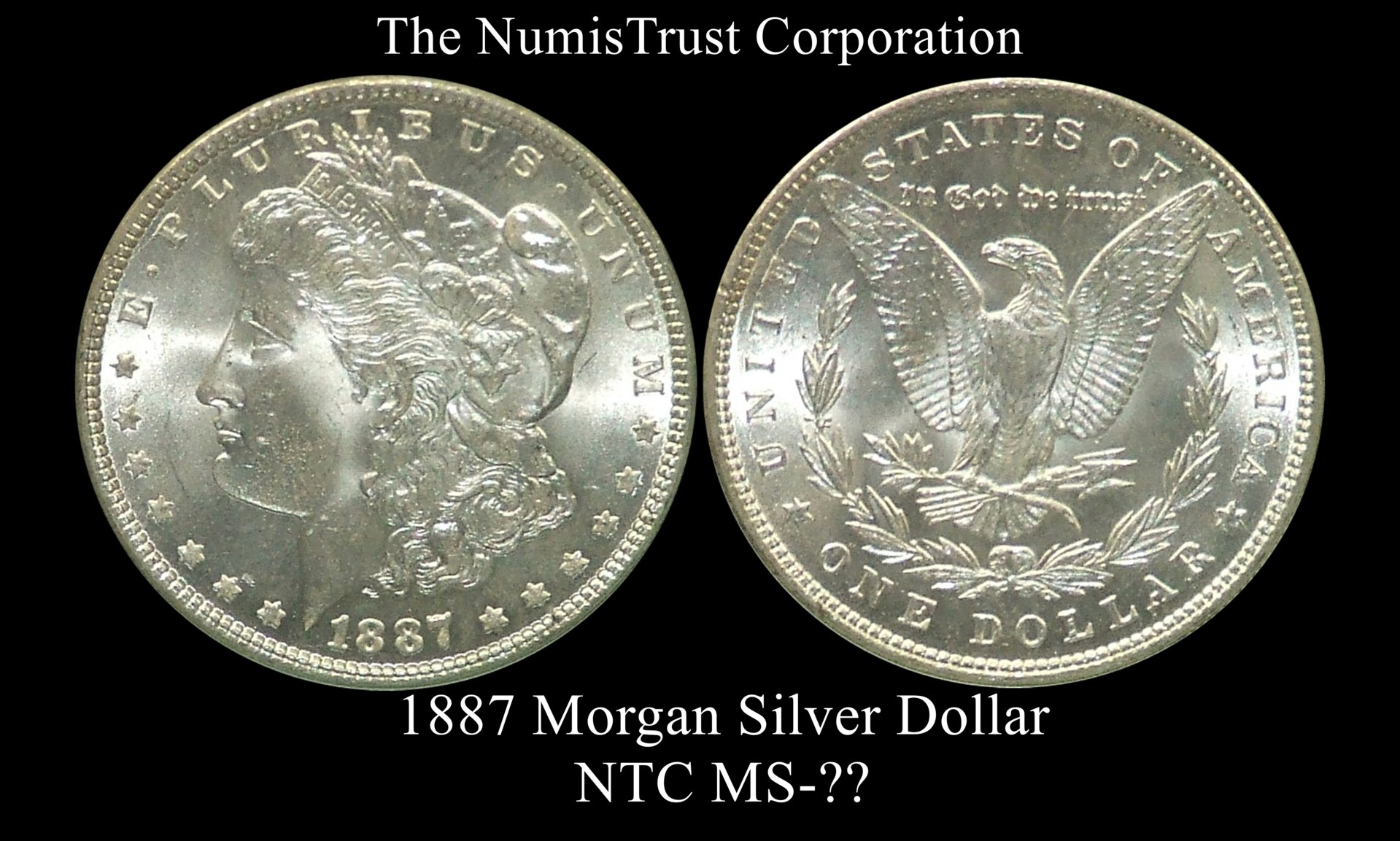 NTC Morgan 1 complete ms65.jpg