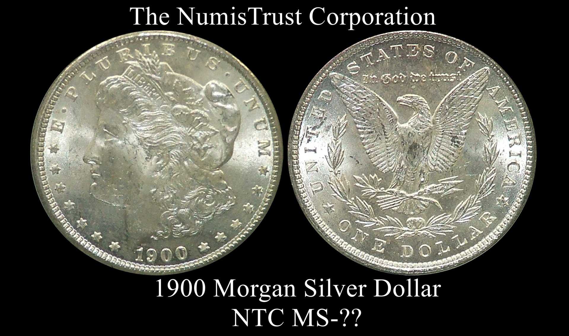 NTC morgan 2 ms63 complete.jpg