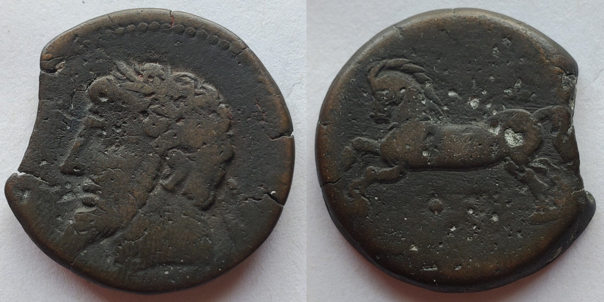 Numidia AE Bust left horse.jpg