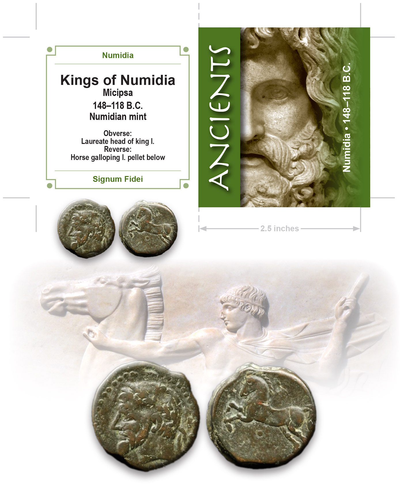 NUMIDIA.jpg