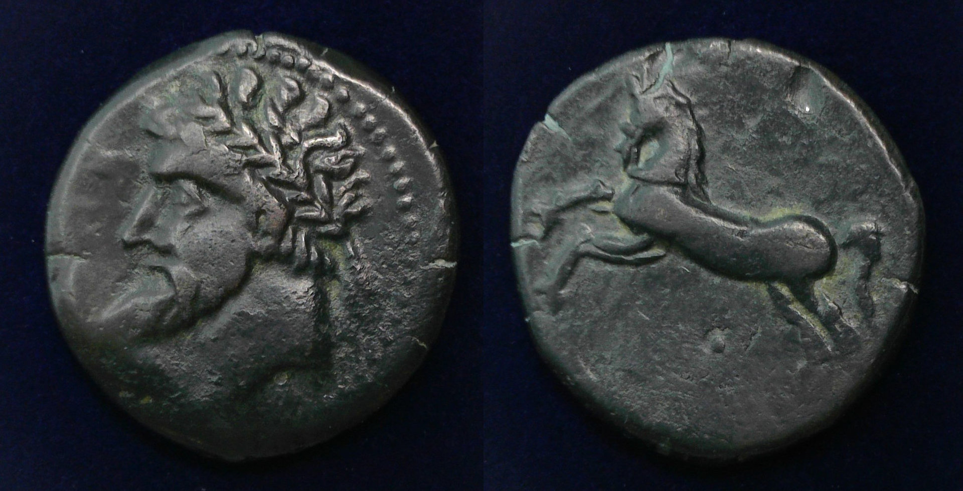 Numidia King Masinissa.jpg