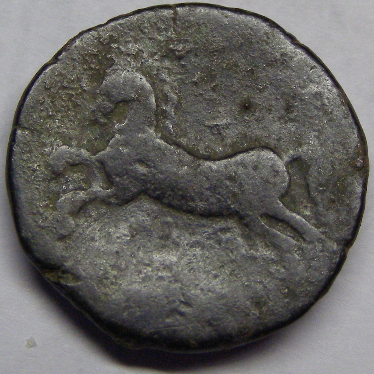 Numidia Massinissa rev horse.jpg