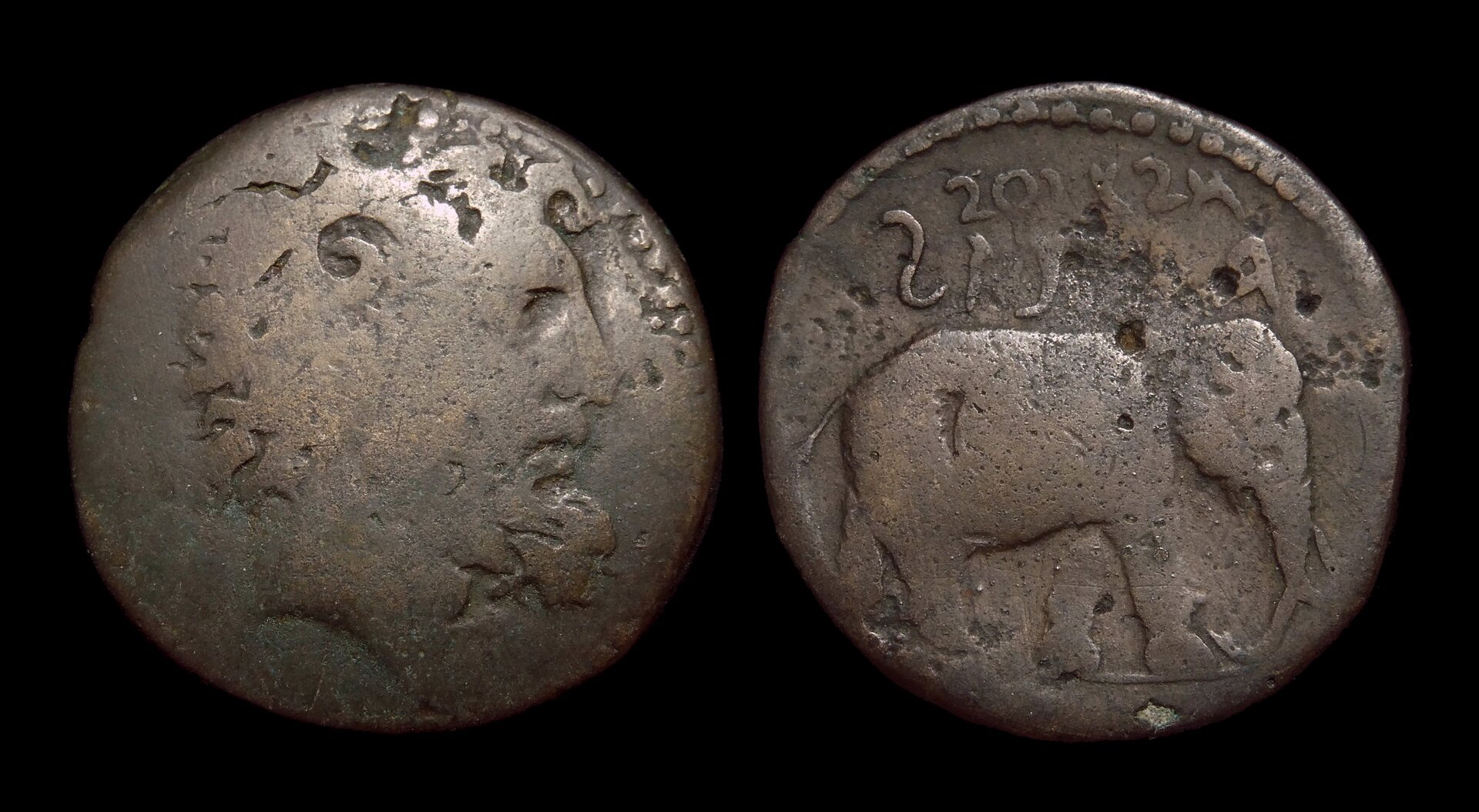 NUMIDIAN KINGDOM Juba I - AE28 ZeusAmmon Elephant 4214.JPG