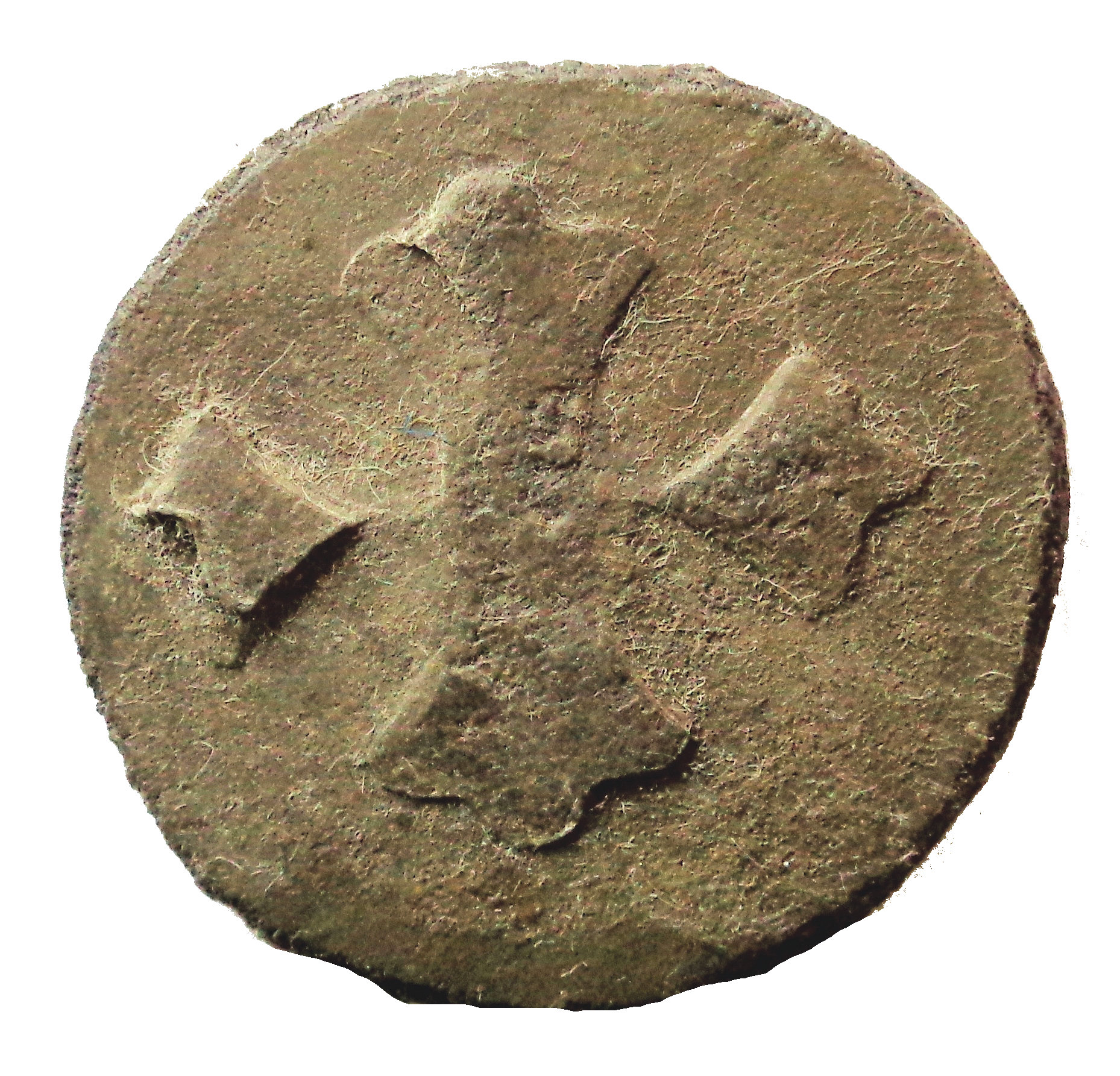 Numista Tin 2a.jpg