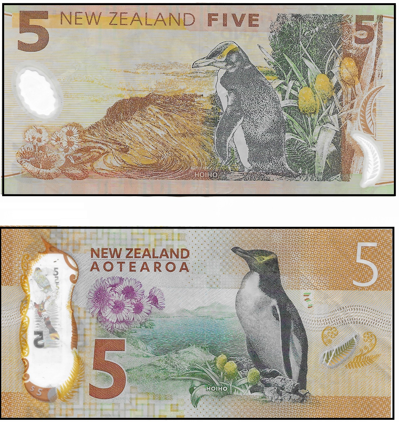 NZ 5 reverse.jpg