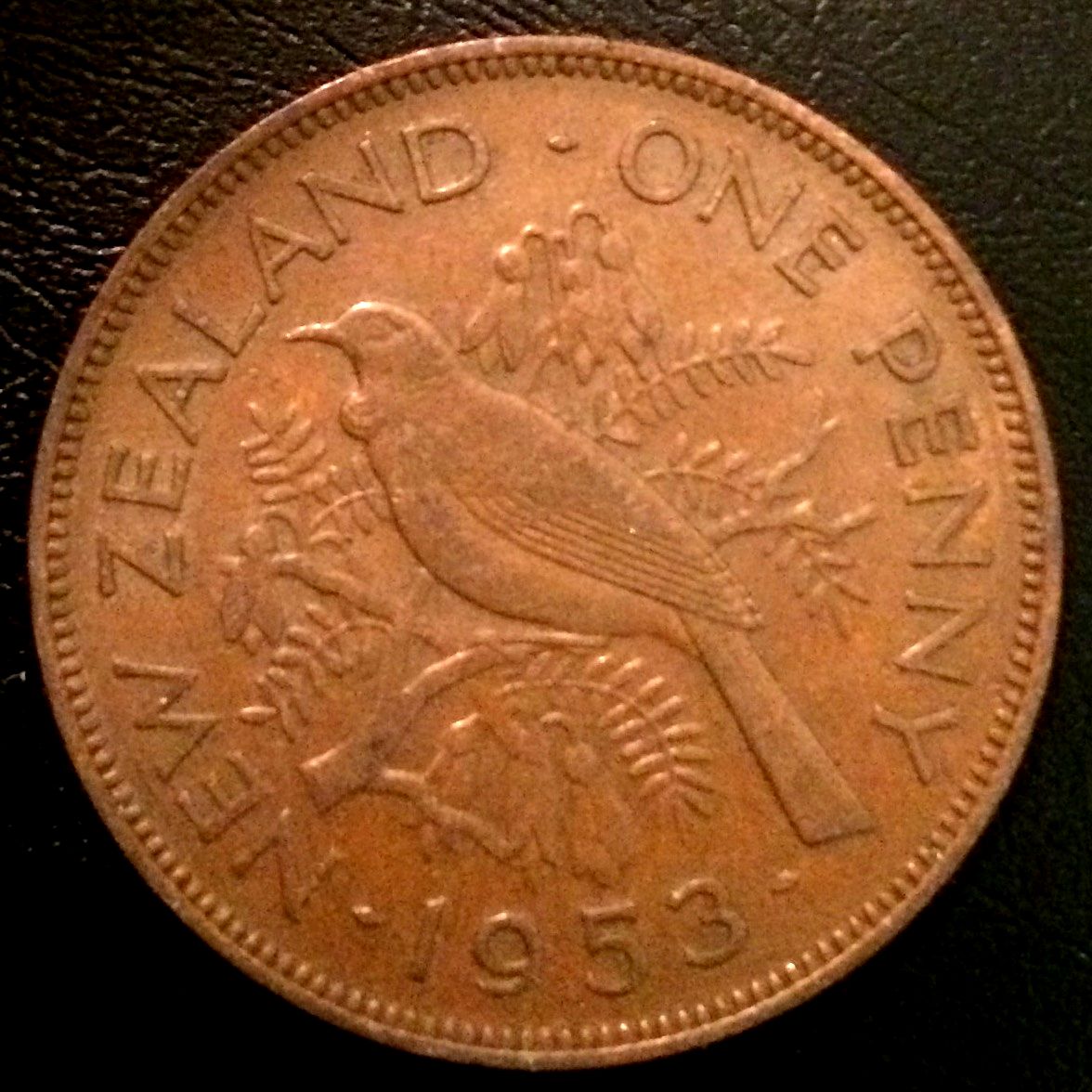 nz2.jpeg