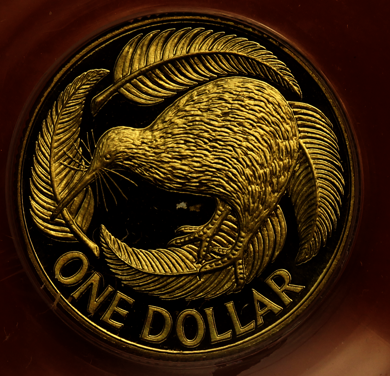 nz_1993_pf_69_dollar_r.png