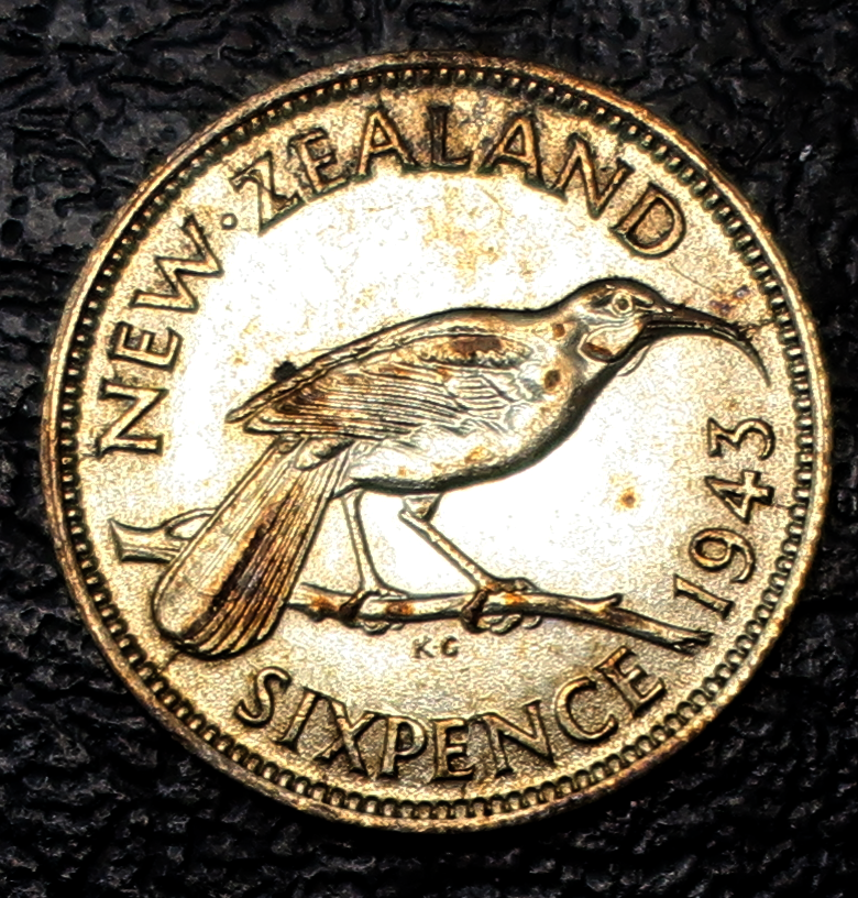 nz_kiwi_1_r.png