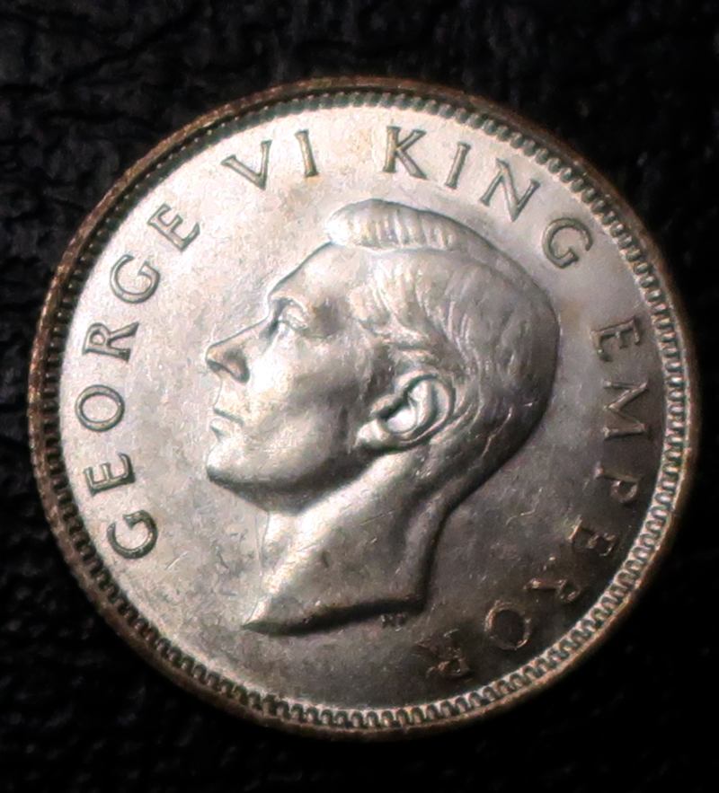 nz_kiwi_1b.png