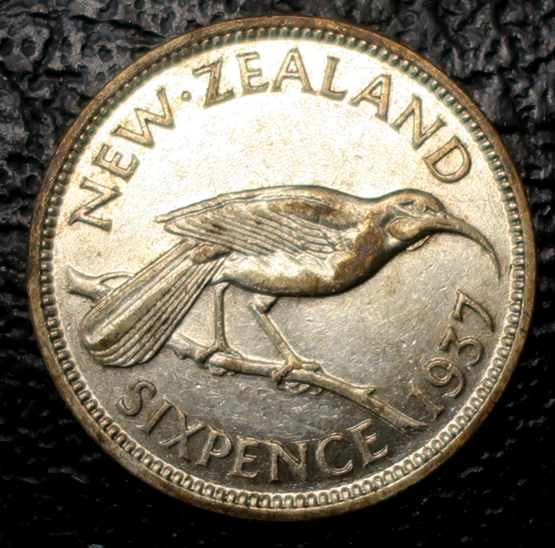 nz_kiwi_2_r.png