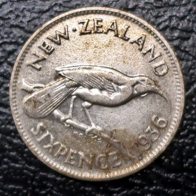 nz_kiwi_3r.png