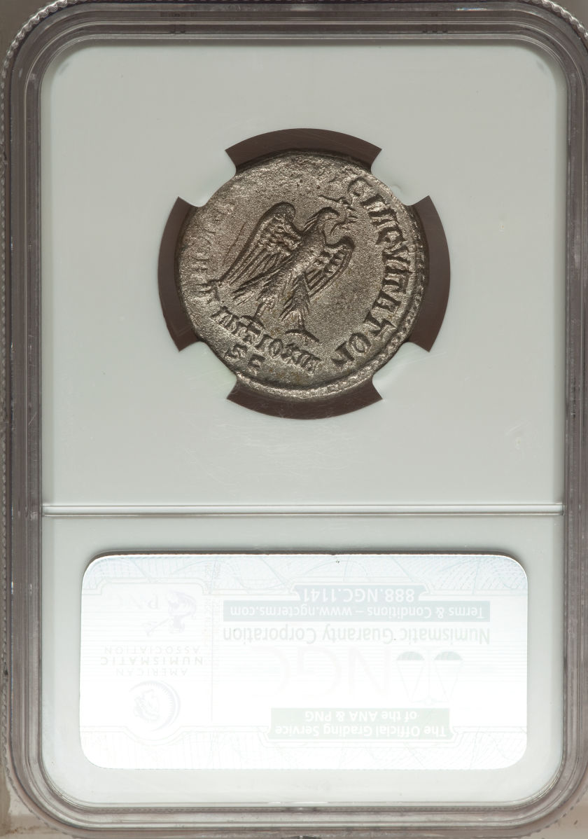 o servera reverse.jpg