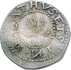 oak-tree-sixpence.jpg