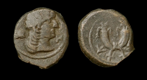 obarsyl500.jpg