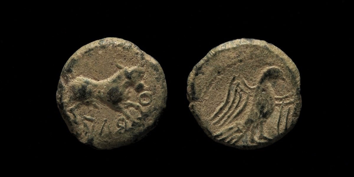 obulco bull eagle.jpg