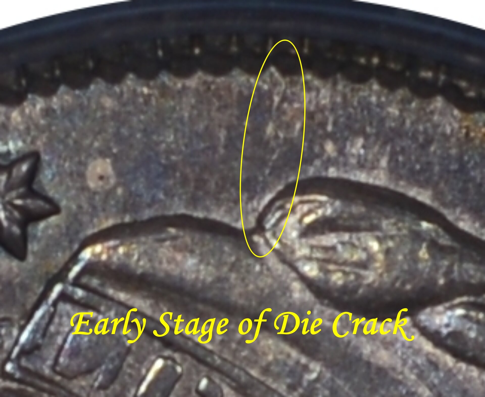 Obv-Die Crack Rim to Cap.jpg