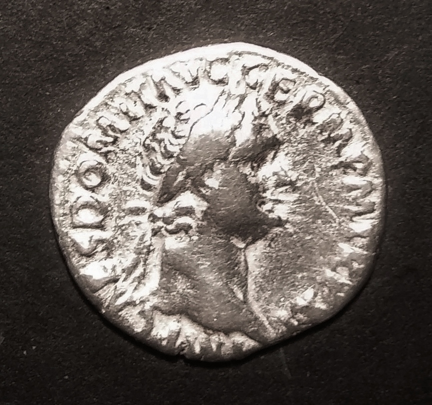 Obv. Domitian 91-92 AD RSC II .jpg