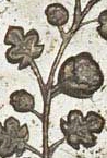 --obverse-1.jpg