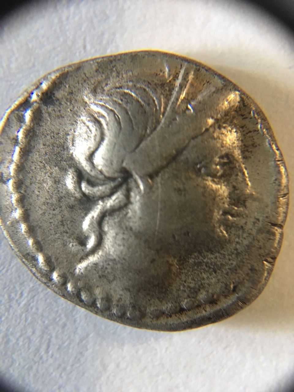 Obverse 1.jpg