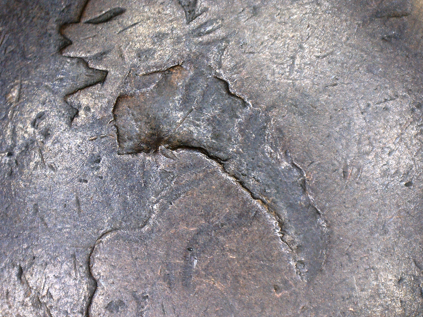 Obverse Damage.jpg