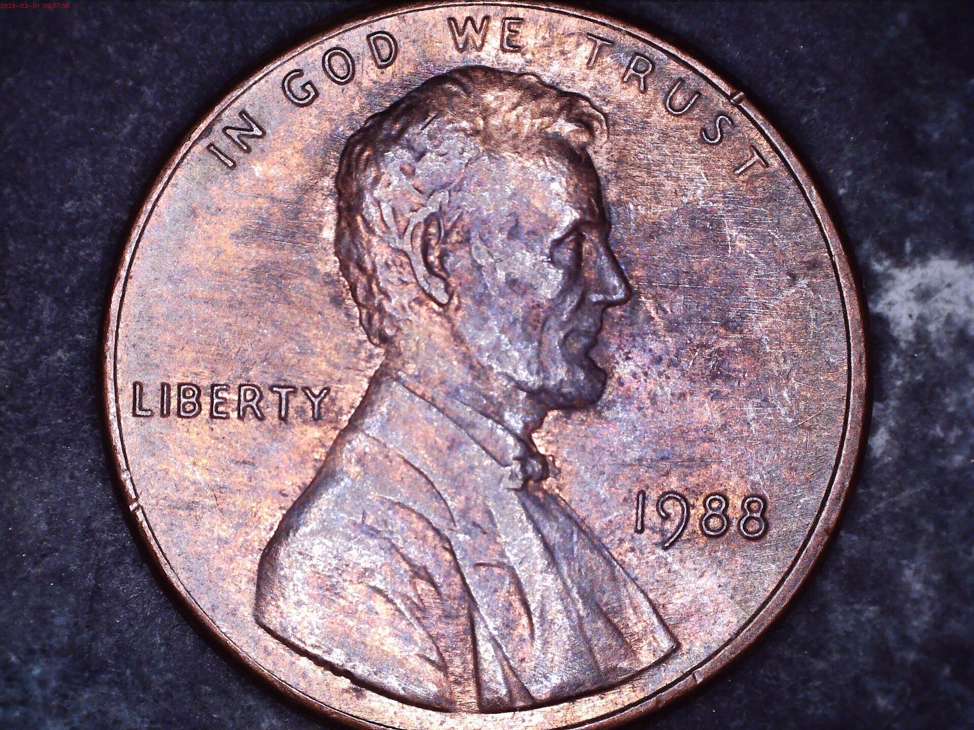 Obverse.jpg